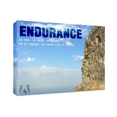 Endurance 11x14 Personalized Inspirational Wall Canvas